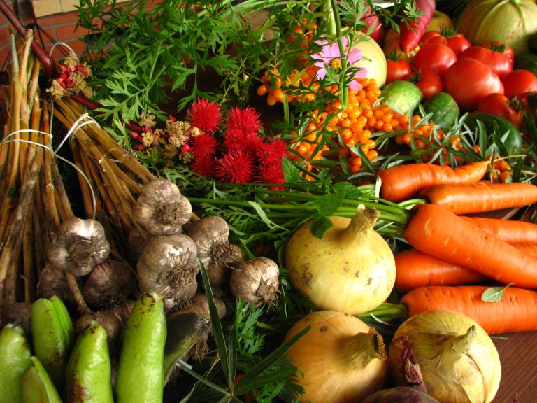 Organic Garden Supplies Needed for Growing Organic Food