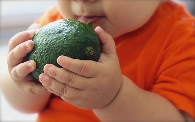 Healthier Babies Love Organic Baby Food Moms Prepares